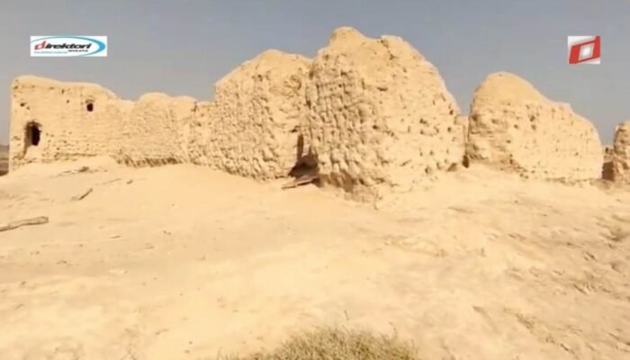 Tips dan Informasi Praktis untuk Pengunjung