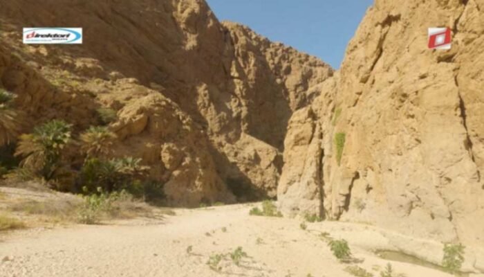 Tips dan Trik untuk Mengunjungi Wadi Shab dan Wadi Bani Khalid