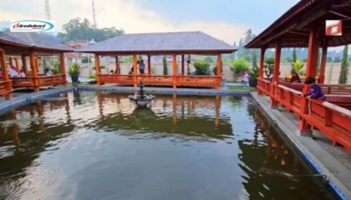 Akomodasi di Sekitar Kebun Teh Cipasung