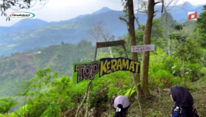 Aktivitas Setelah Pendakian