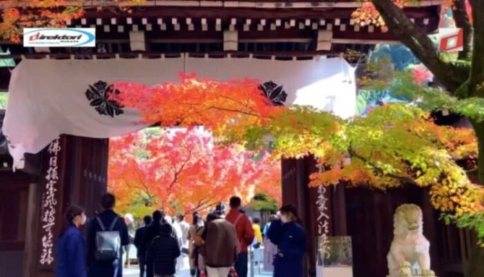 Arsitektur dan Desain Kuil