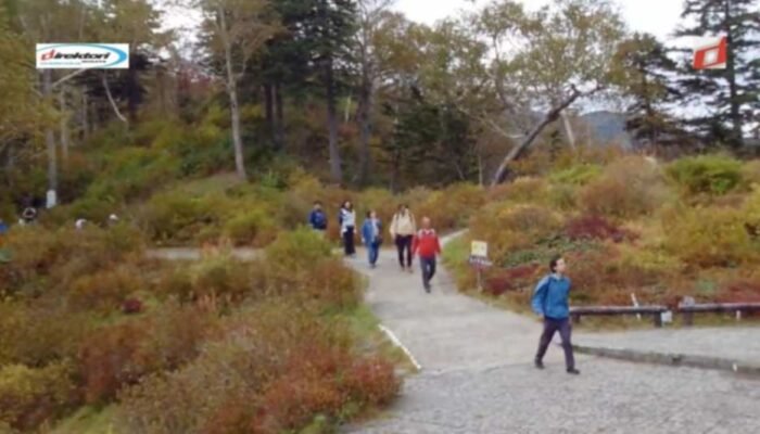 Budaya dan Tradisi Musim Gugur di Jepang