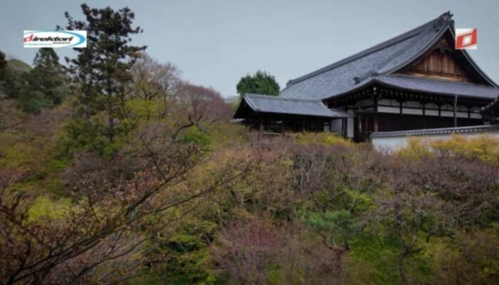 Bunga Musiman dan Keindahan Alam