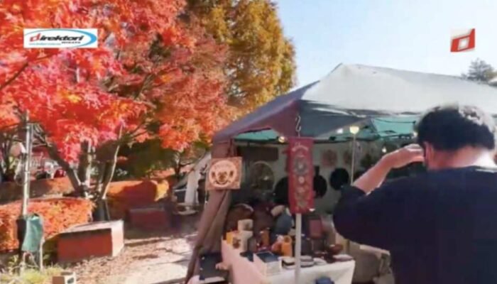 Destinasi Terbaik untuk Melihat Daun Musim Gugur