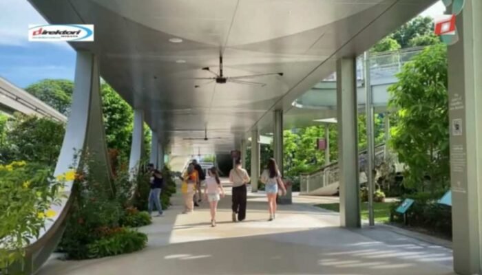 Kegiatan dan Pengalaman Seru di Pulau Sentosa