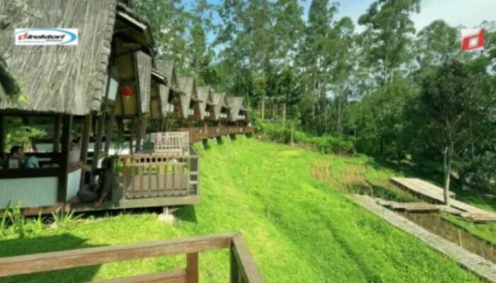 Kegiatan Khusus dan Acara di Dusun Bambu