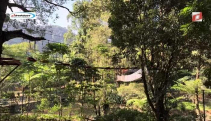 Kegiatan Khusus dan Event di Melrimba Garden