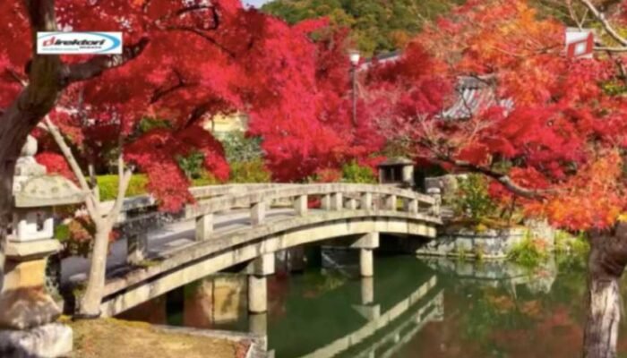 Keindahan Alam di Sekitar Kuil