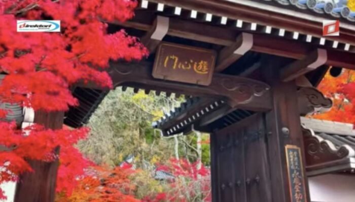 Kunjungan dan Akses ke Eikando Zenrin-ji