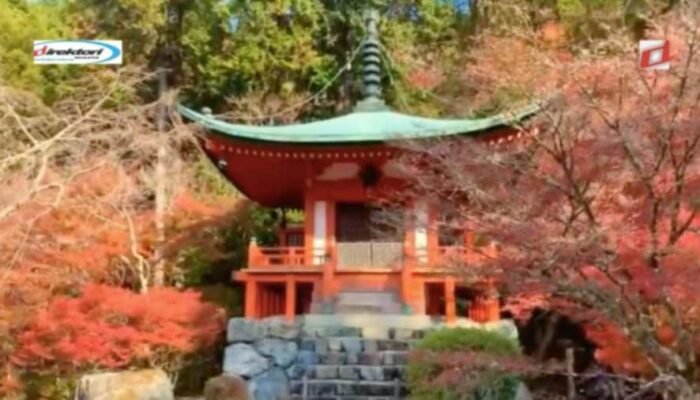 Tips Berwisata di Kuil Daigoji