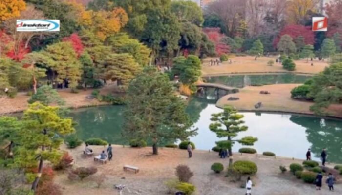 Tips Perjalanan untuk Wisata Musim Gugur di Jepang
