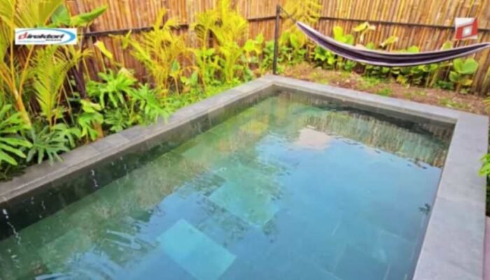 Ulasan dan Testimoni dari Pengunjung