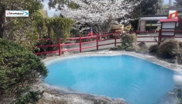 Ulasan dan Testimoni Pengunjung