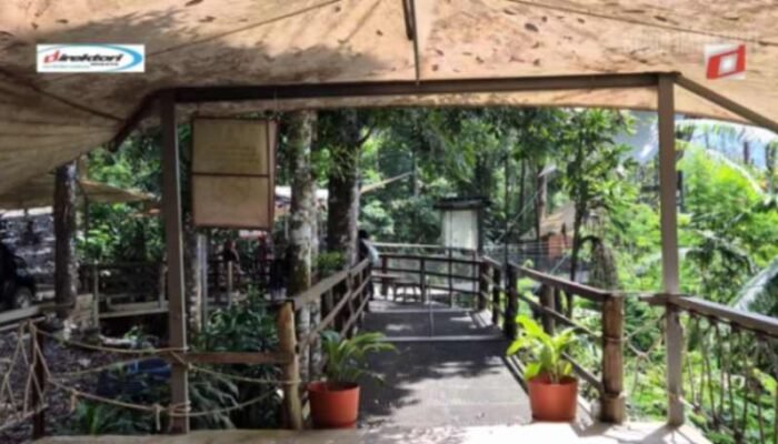 Waktu Terbaik untuk Mengunjungi