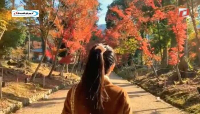 Waktu Terbaik untuk Mengunjungi Kuil Daigoji