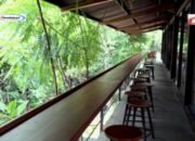 Wisata Godong Ijo Depok: Destinasi Wisata Alam Keluarga di Depok