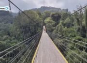 Wisata Jembatan Gantung Situ Cisaat: Destinasi Wisata Terpanjang Asia Tenggara di Sukabumi