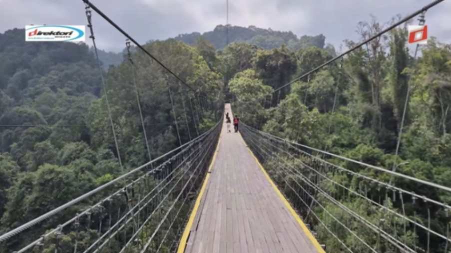 Wisata Jembatan Gantung Situ Cisaat: Destinasi Wisata Terpanjang Asia Tenggara di Sukabumi