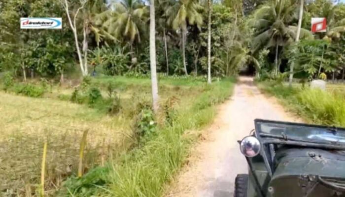 Aktivitas Menarik di Sekitar Resort