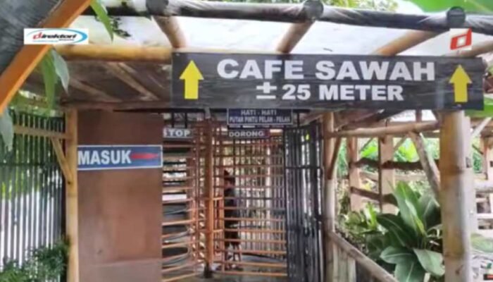 Café Sawah Pujon Kidul Malang