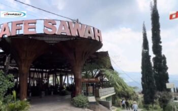 Café Sawah Pujon Kidul Malang: Wisata Favorit Keluarga di Malang