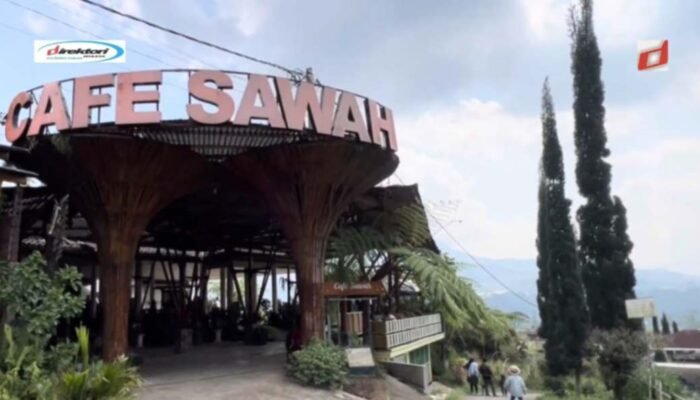 Café Sawah Pujon Kidul Malang: Wisata Favorit Keluarga di Malang