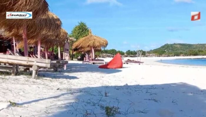 Kesadaran Lingkungan dan Konservasi Pantai