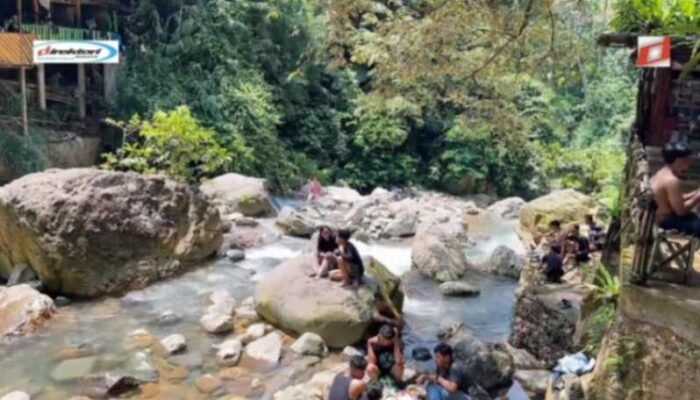 Konservasi Lingkungan dan Pentingnya Menjaga Alam