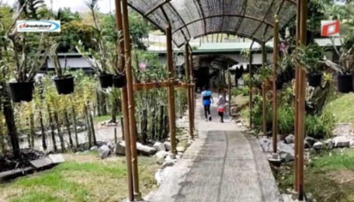 Musim Kunjungan Terbaik