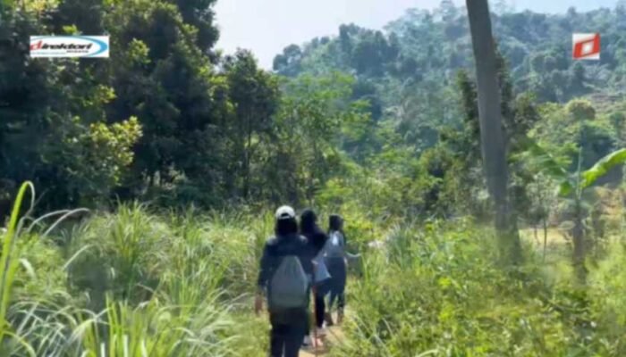 Pengalaman Pribadi dan Cerita dari Pengunjung