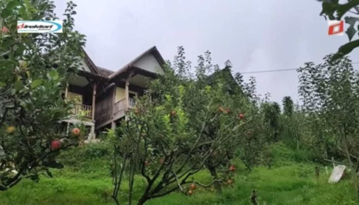 Penginapan di Sekitar Dusun Kuliner Batu