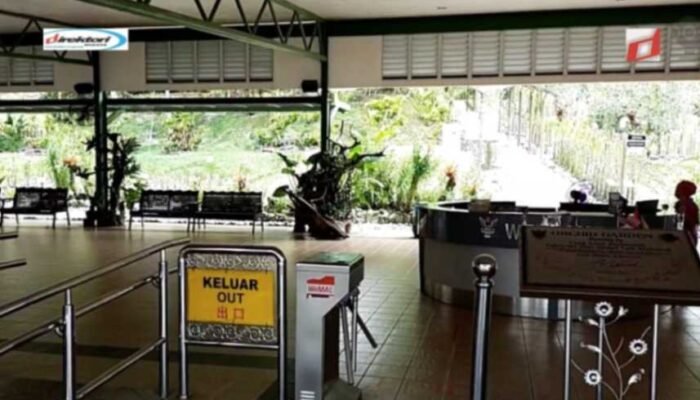 Pesona Kuching Orchid Garden: Destinasi Wisata Taman Anggrek Sarawak