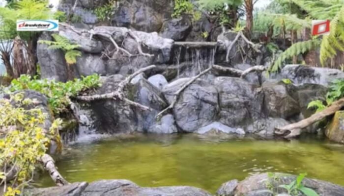 Suasana dan Keputusan untuk Berkunjung