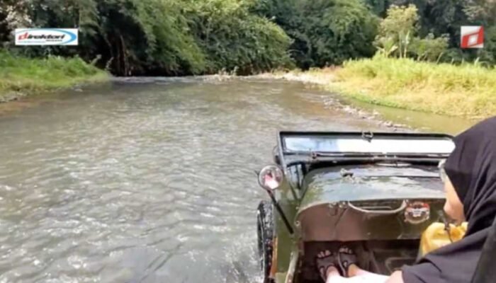 Testimoni dan Cerita dari Pengunjung