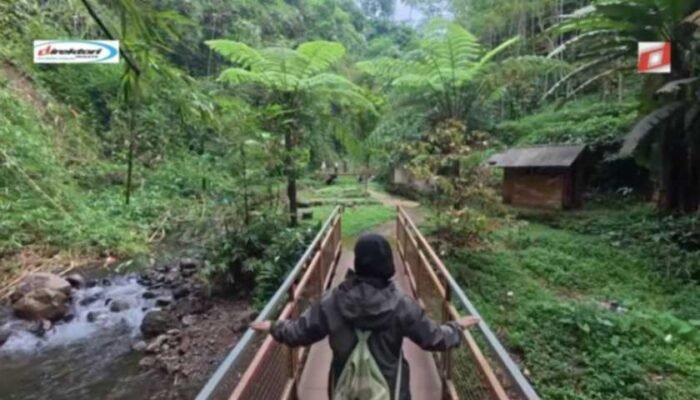 Tips Mengunjungi Curug Orak Arik