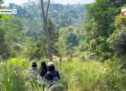 Trekking Sentul Leuwi Hejo: Petualangan Menyegarkan di Alam Bogor