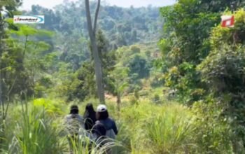 Trekking Sentul Leuwi Hejo: Petualangan Menyegarkan di Alam Bogor