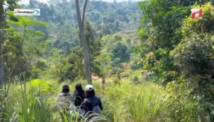 Trekking Sentul Leuwi Hejo: Petualangan Menyegarkan di Alam Bogor