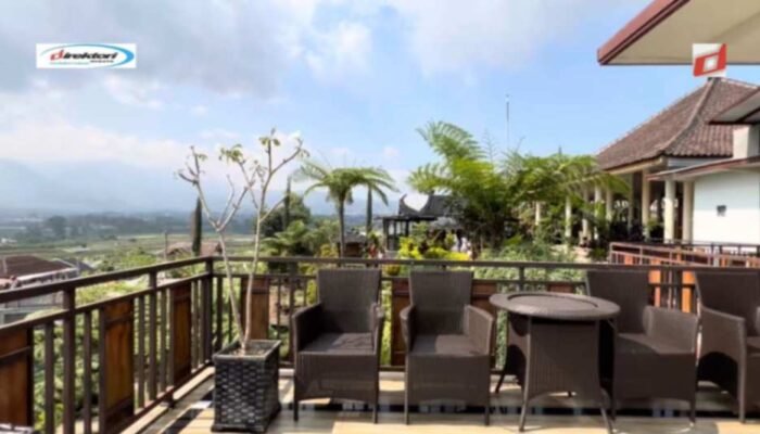 Ulasan dan Testimoni Pengunjung