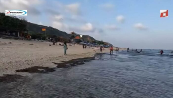 Ulasan dan Testimoni Pengunjung