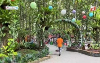 Wisata Jati Ombo: Destinasi Wisata Keluarga di Parung