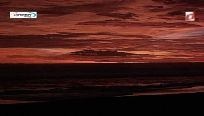 Testimoni Pengunjung