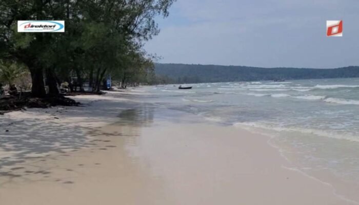 Aktivitas Menarik di Teluk Saracen