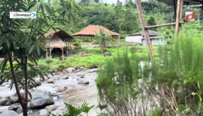 Aktivitas Seru yang Dapat Dilakukan