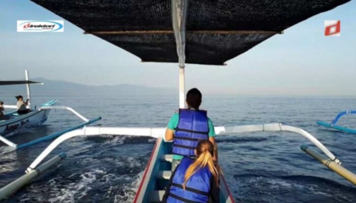 Cara Mengatur Wisata Lumba-Lumba di Lovina