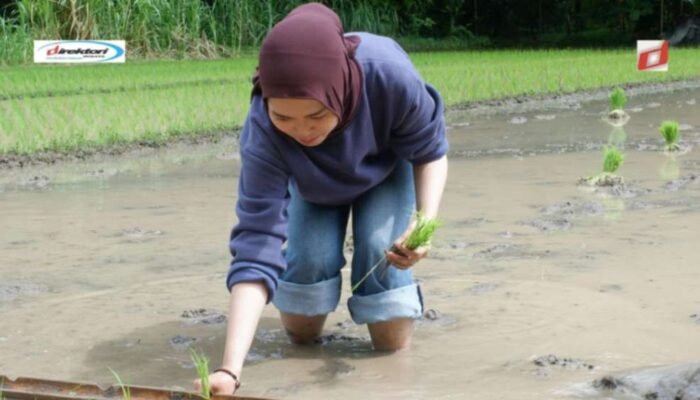 Daftar Desa Wisata Terpopuler di Yogyakarta