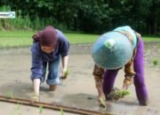 Direktori Desa Wisata Jogja untuk Liburan di Yogyakarta