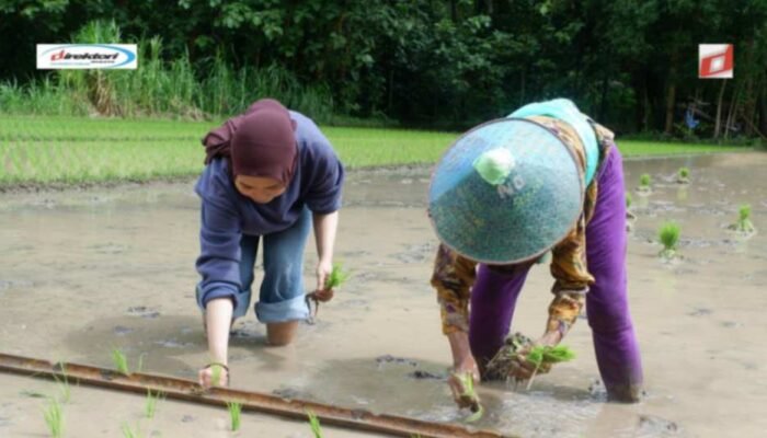 Direktori Desa Wisata Jogja untuk Liburan di Yogyakarta