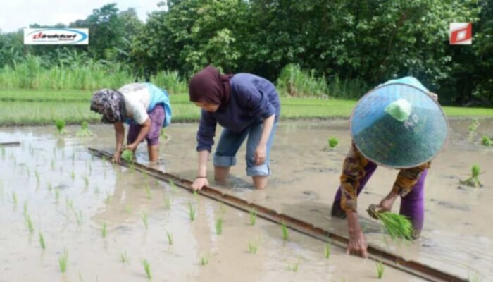 Manfaat Mengunjungi Desa Wisata